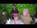 Backyard Chicken Care Essentials
