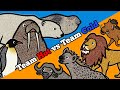 Animal Habitats and Adaptations