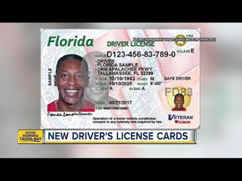 Fl Drivers License Appointment Oasis Jobs Ecityworks