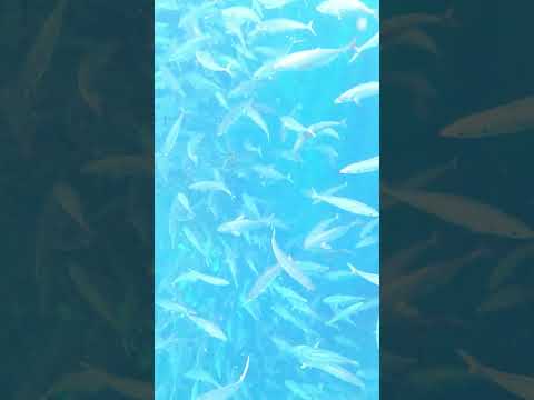 fishing net in the sea from aceh sea
