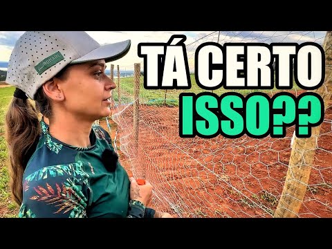 COMO FAZER (ou não) uma CERCA com eucalipto e alambrado! 😂 T.11 Ep.08