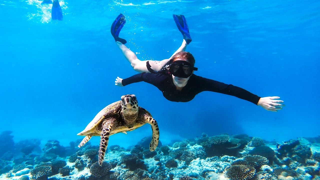 AMAZING CLEAR WATER FREE DIVING Deep Sea Jetski Jigging (Friendly Turtle) - Ep 107