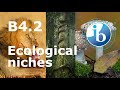 Nutrition and Adaptations in Organisms