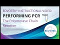 PCR Process and Applications