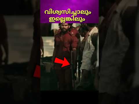 കൊച്ചു ഗള്ളൻ റോക്കി 😍😍😍#shorts