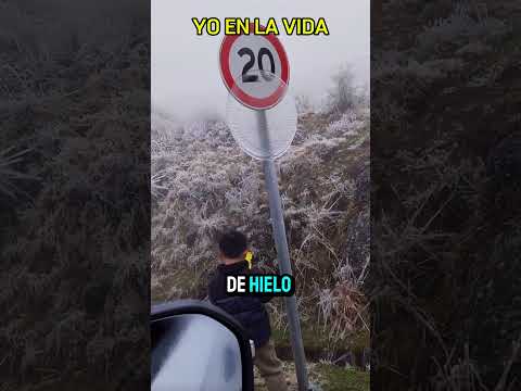 Cuando Te METES Donde NO te LLAMAN 🤣