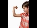 Exploring the Muscular System Functions for Kids
