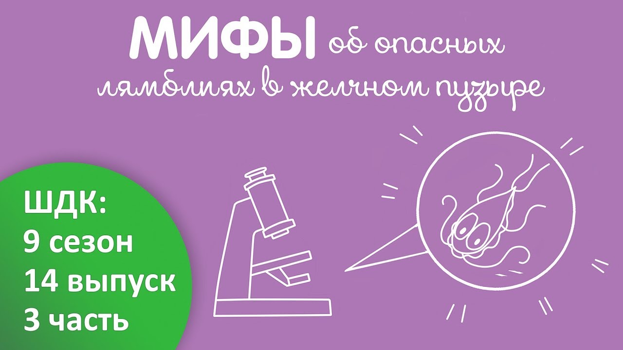 Мифы об опасных лямблиях в желчном пузыре