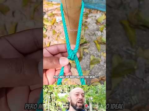 Este nudo práctico y resistente es ideal para tu jardín! #NudosDeHuerto #JardineríaPráctica