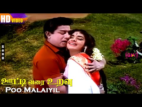 T.M.S & P.Susheela Hits | Poo Malaiyil HD | Sivaji Ganesan | K.R.Vijaya | Ooty Varai Uravu Songs