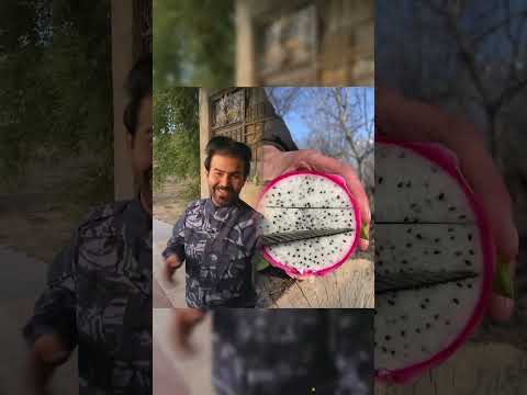 الله يرحم كبون 😂 #ضاوي #تيم_ضحكة_وطن