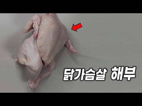 닭은 왜 가슴 근육이 많을까?? (날지도 못하면서..)