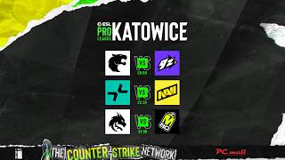 ESL Pro League S24 - Swiss round 5 - MN cast