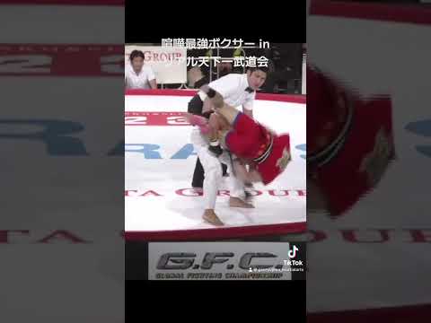 喧嘩最強ボクサー in リアル天下一武道会【巌流島】