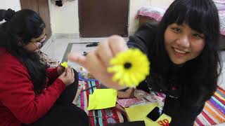 Sunflower Video