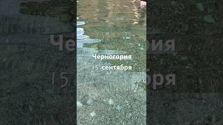 Черногория 15 сентября температура воды