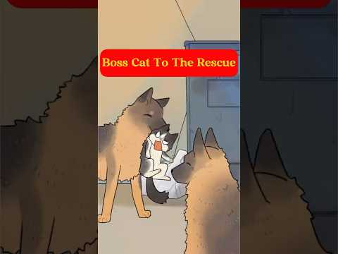 Boss Cat To The Rescue.