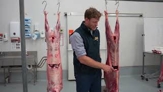 How to judge goat carcases