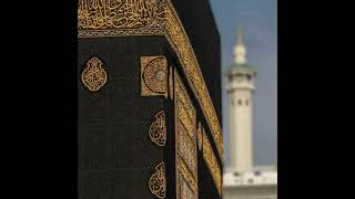 الشيخ زكي داغستاني رحمه الله سورة القلم
