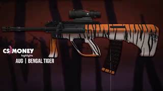 AUG Bengal Tiger Gameplay