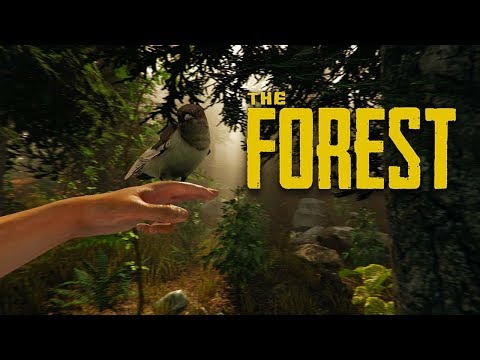 The Forest Game Steam Coupon - 09/2021