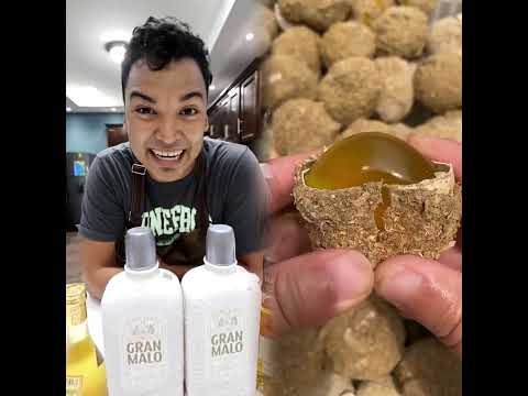 This is so funny, l couldn't stop laughing #funny#doddlersoftiktok #funnyvideos#duet