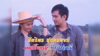 ดอกงิ้วบานที่บ้านหมี่ (New Version 2025) #สิทธิพร สุนทรพจน์ ไอ้หนุ่มเสียงอ้อน เพชรภูธรหมายเลข1.
