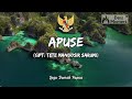 Understanding the Video Tutorial