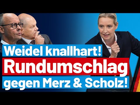 Merz stinksauer: Alice Weidel rechnet knallhart mit der CDU ab! - AfD-Fraktion im Bundestag