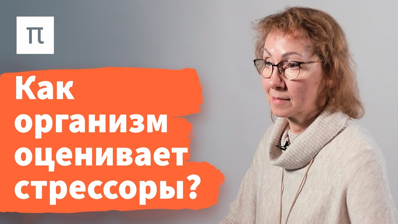 Общий адаптационный синдром - Анна Усенко