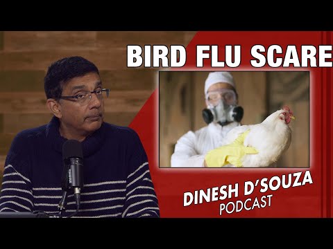 BIRD FLU SCARE Dinesh D’Souza Podcast Ep995