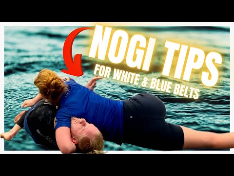 Nogi Technique Highlights for White & Blue Belts