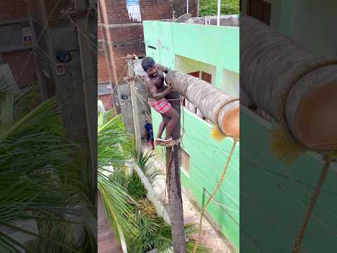 8610339350 tree cutter in Tamilnadu
