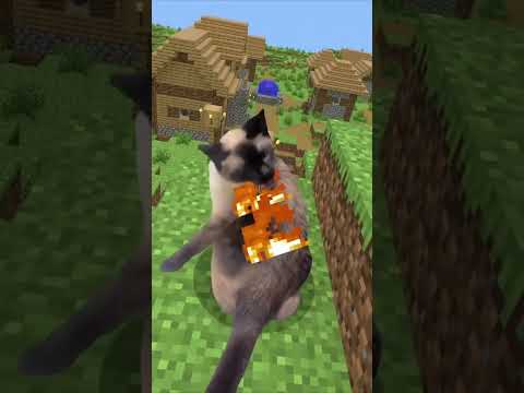 Cùng xem mèo Minecraft thế nào nhé #minecraft #cat #funny