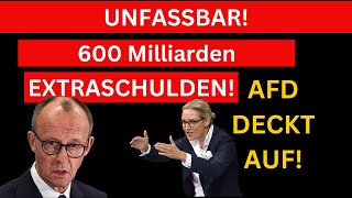 🚨 SCHOCK-PLAN! 600 MILLIARDEN NEUE SCHULDEN – WER ZAHLT DIE RECHNUNG? (AfD ENTHÜLLT!) 🚨