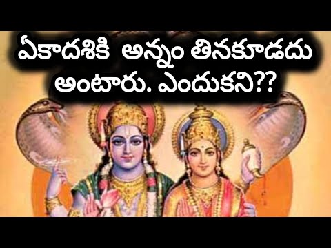 ఏకాదశినాడు అన్నం తినకూడదంటారు ఎందుకు?/story of ekadashi fasting/The shocking reason of avoid rice