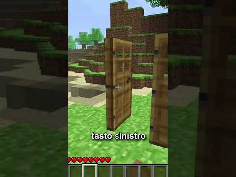 Minecraft era DAVVERO STRANO...