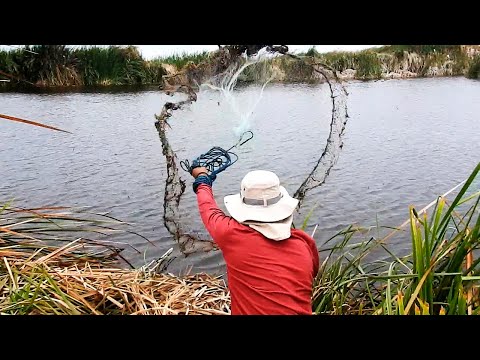 Un PESCADOR SUERTUDO encuentra pozas ocultas llenas de TILAPIAS Colosales.