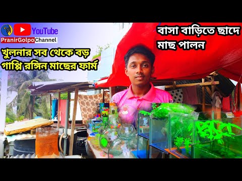 ফার্মের 🔥মাছ ও অ্যাকুরিয়াম কিনুন | aquarium fish price in bangladesh | Khulna fish market 2025