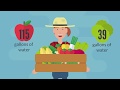 Water Footprint of Food Choices