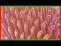 Understanding Innovative Scientific Discoveries