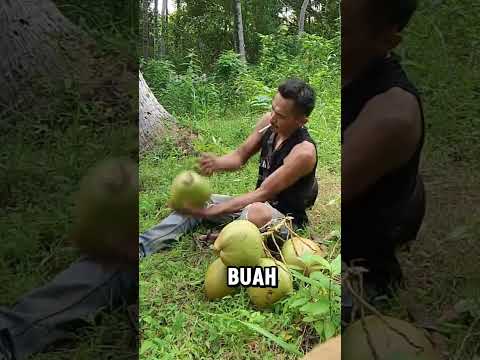 membuka kelapa dengan tangan kosong #shorts #shortvideo