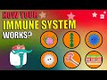 Understanding the Immune System