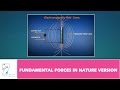 Fundamental Forces in Nature