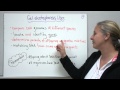 Biotechnology and Genetic Engineering Concepts
