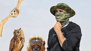 الجزء الثاني /📸 توثيق مذهل للحياة البرية | البومة النسرية عن قرب 🦉