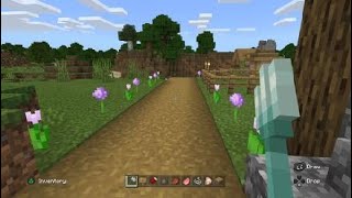 Minecraft_20210611032114