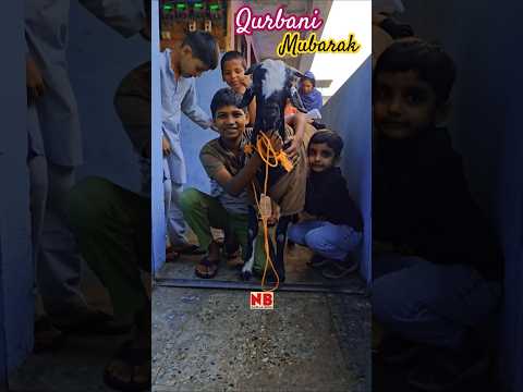 Pyaare Bache aur Bakraโฅ๏ธ๐ #bakraeid #bakraeid2025 #bakraeidspecial #bakra #goats #trending #biggoats