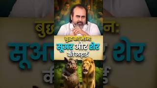 बुद्ध का मौन: सूअर और शेर की लड़ाई || आचार्य प्रशांत