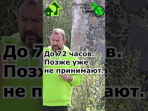 Эта таблетка спасет жизнь. Защита от смертельного укуса клеща. Она должна быть у каждого с собой!